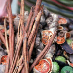 Qu'est ce que la médecine ayurvédique? ayurveda