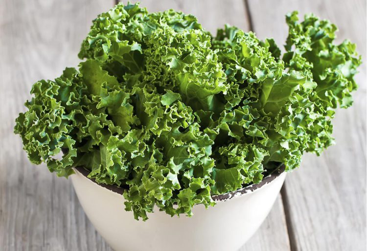 Les bienfaits du Kale (iStock)