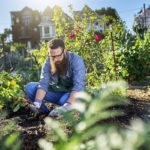 Potager (iStock)