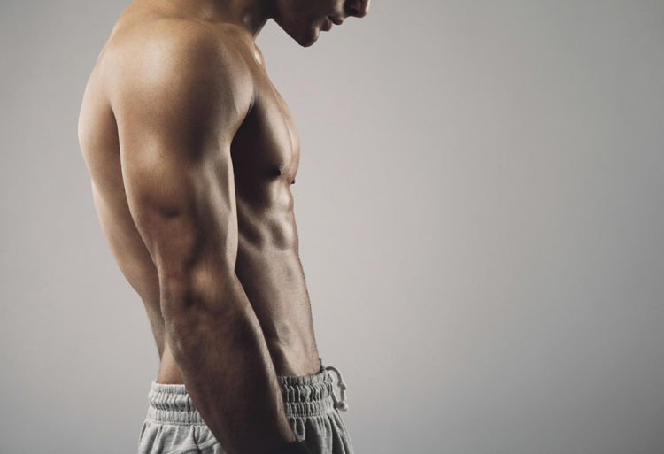 Masse musculaire (iStock)